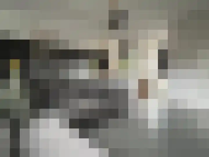 Rembrandtlaan 149 Woerden thumbnail 10