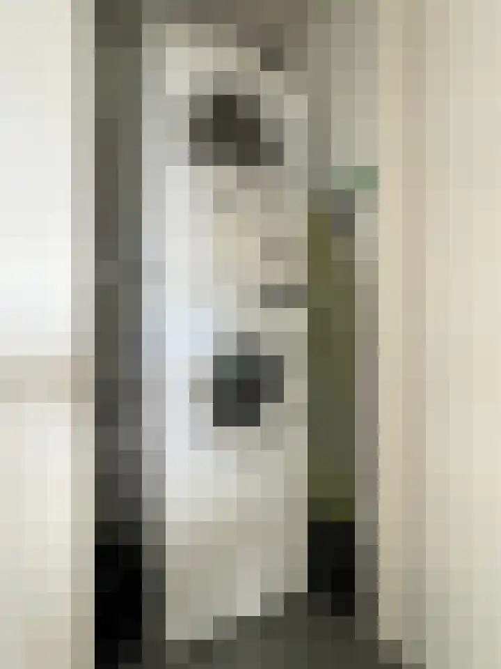 Rembrandtlaan 149 Woerden thumbnail 15
