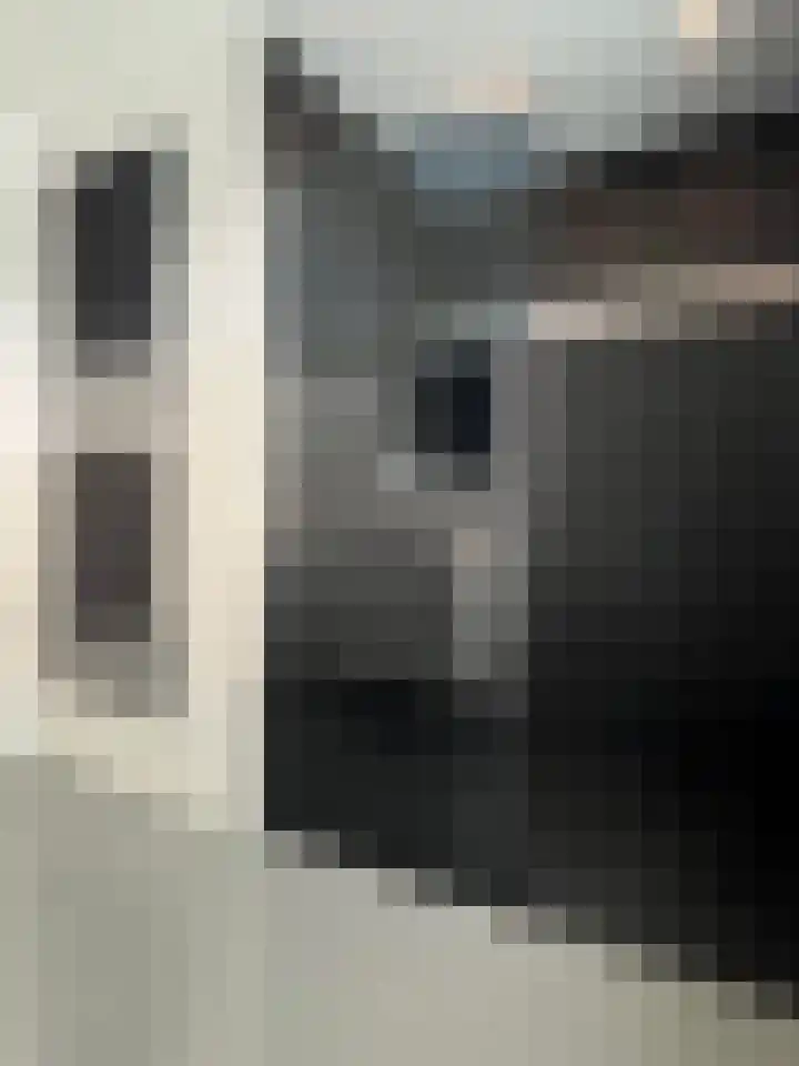 Rembrandtlaan 149 Woerden thumbnail 17