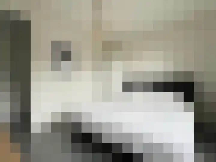 Rembrandtlaan 149 Woerden thumbnail 19