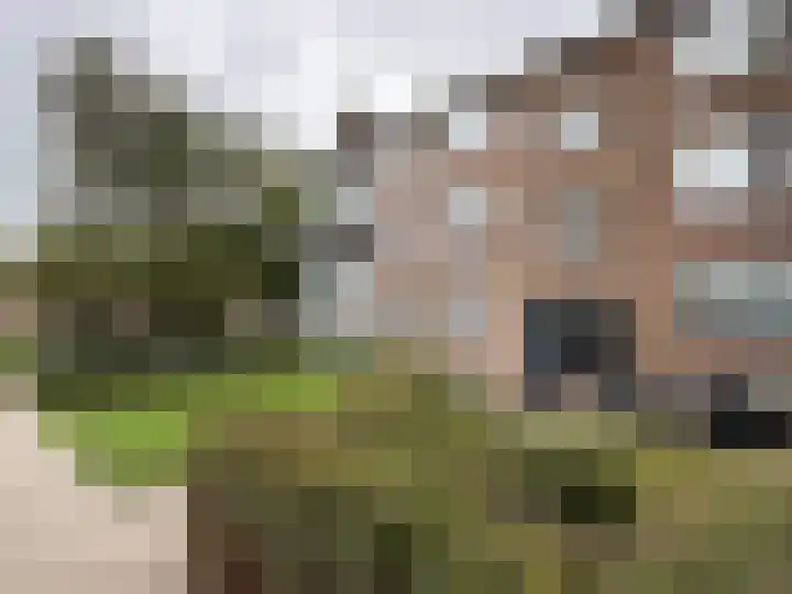 Rembrandtlaan 149 Woerden foto 2