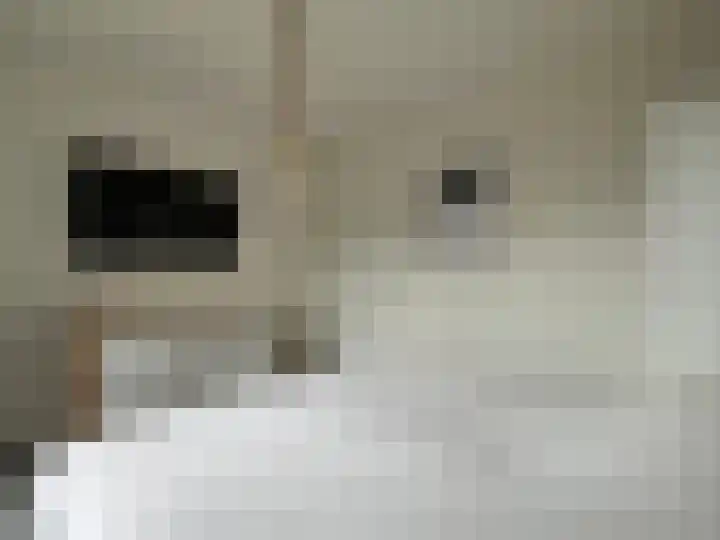 Rembrandtlaan 149 Woerden thumbnail 20