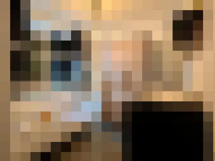 Rembrandtlaan 149 Woerden thumbnail 21