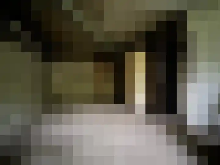 Rembrandtlaan 149 Woerden thumbnail 25