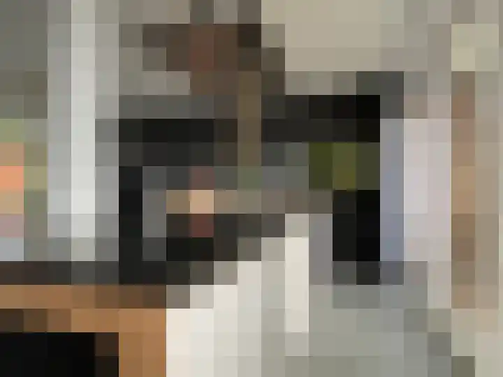 Rembrandtlaan 149 Woerden thumbnail 6