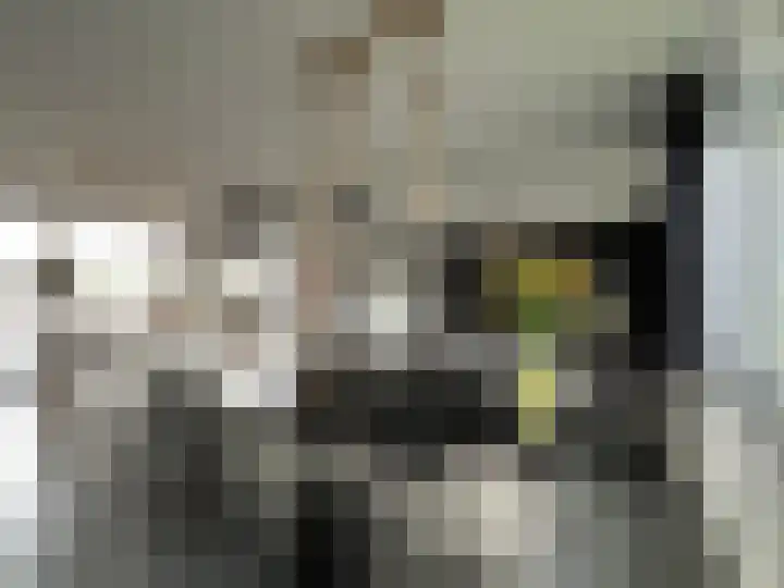 Rembrandtlaan 149 Woerden thumbnail 7