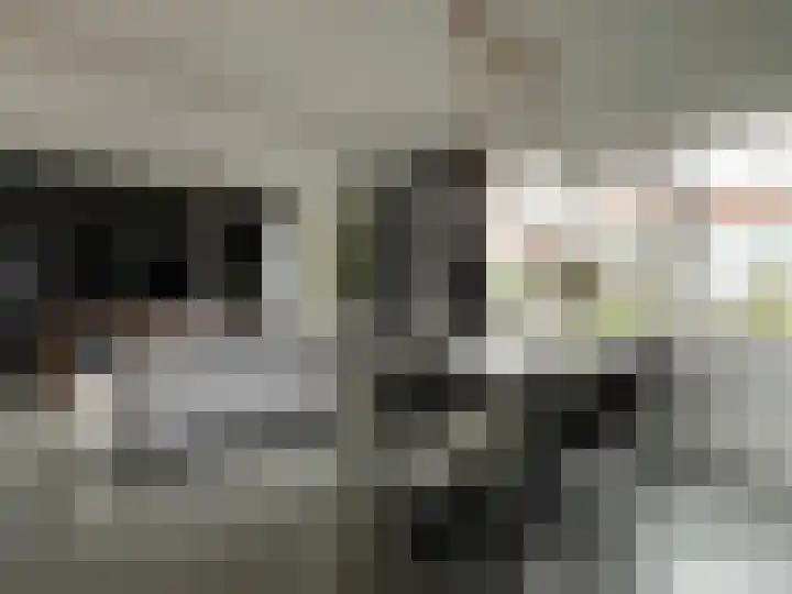 Rembrandtlaan 149 Woerden thumbnail 8
