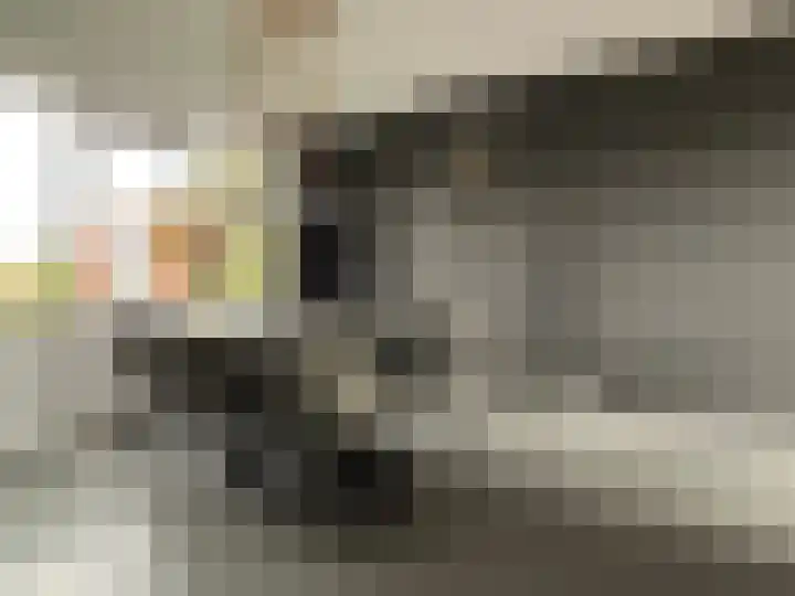 Rembrandtlaan 149 Woerden thumbnail 9