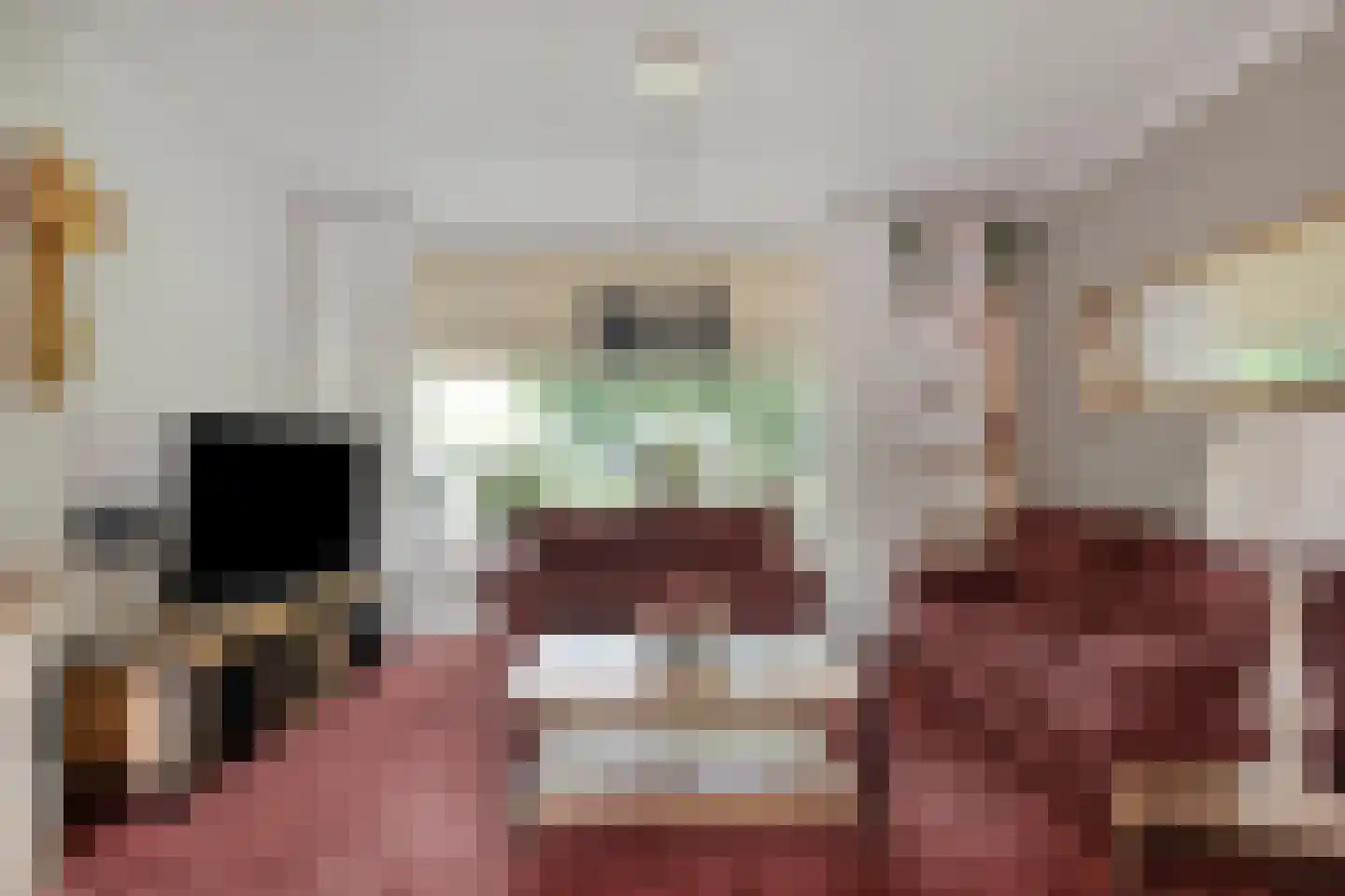 Rembrandtlaan 15 A Veenendaal thumbnail 12