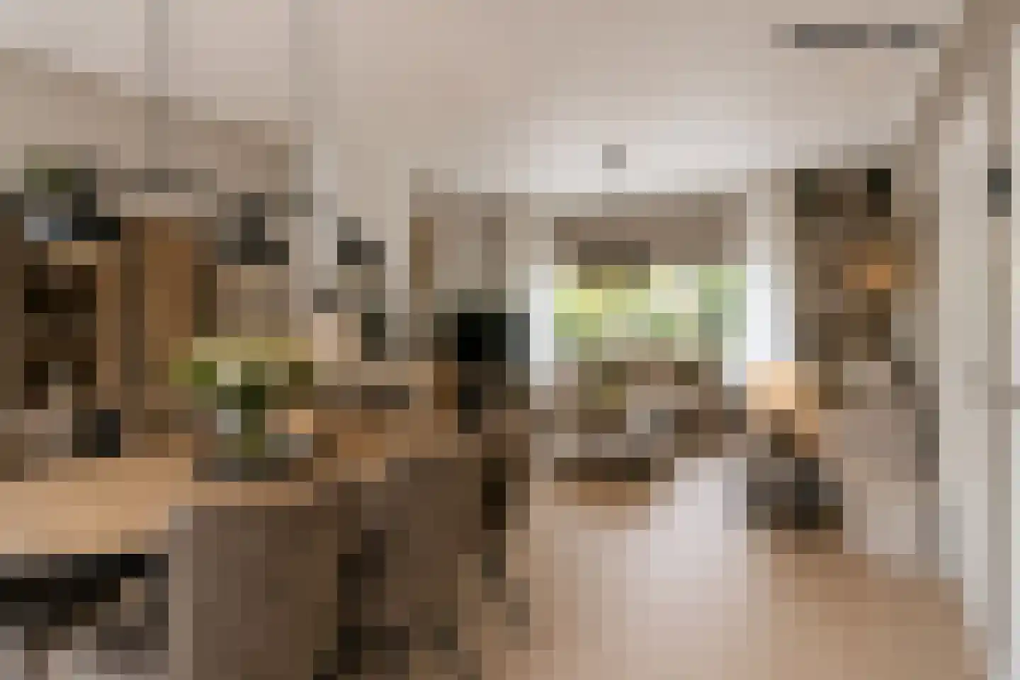 Rembrandtlaan 15 A Veenendaal thumbnail 14