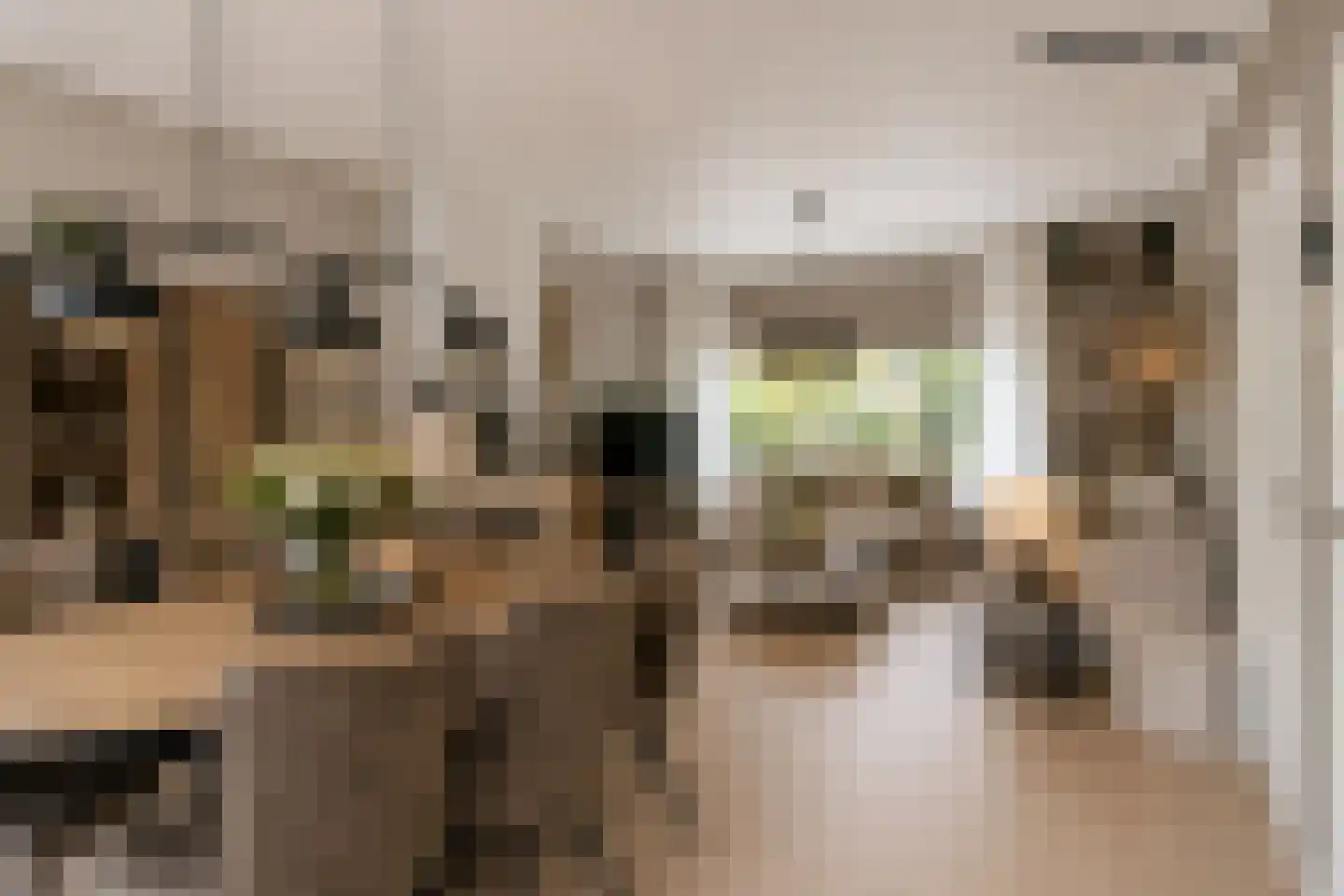 Rembrandtlaan 15 A Veenendaal thumbnail 15