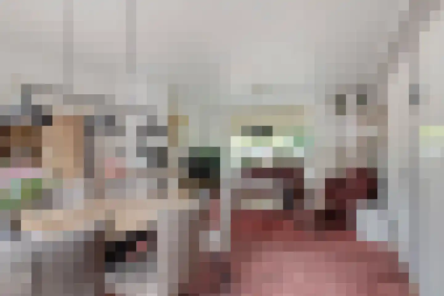 Rembrandtlaan 15 A Veenendaal thumbnail 15
