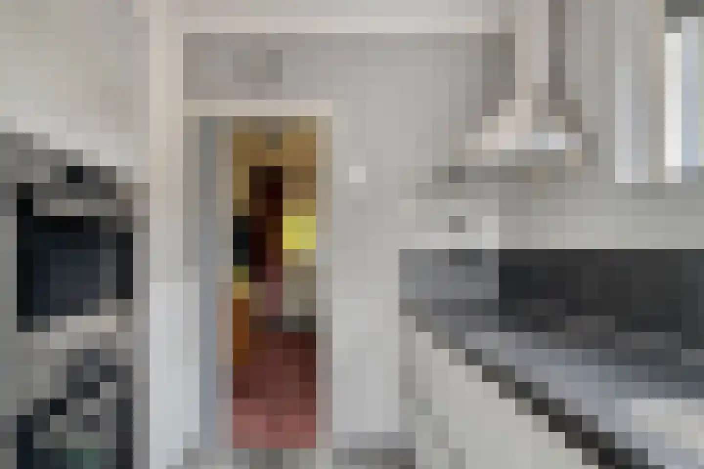 Rembrandtlaan 15 A Veenendaal thumbnail 19
