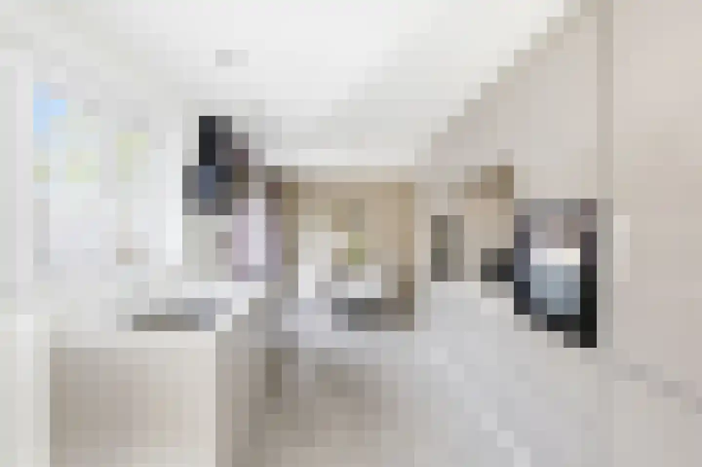 Rembrandtlaan 15 Vlissingen thumbnail 14