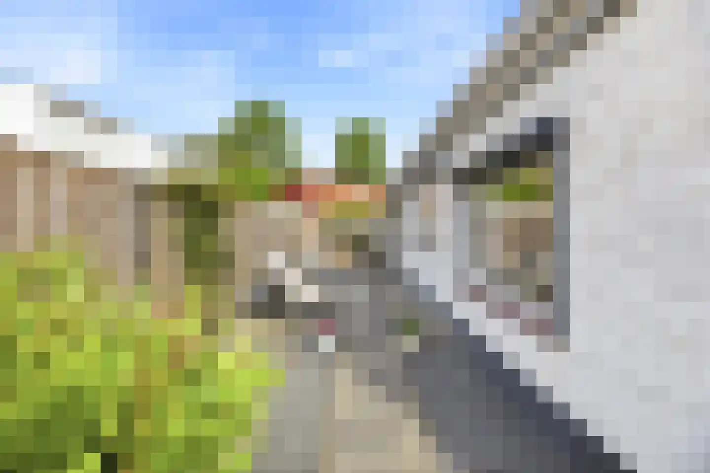 Rembrandtlaan 15 Vlissingen thumbnail 26