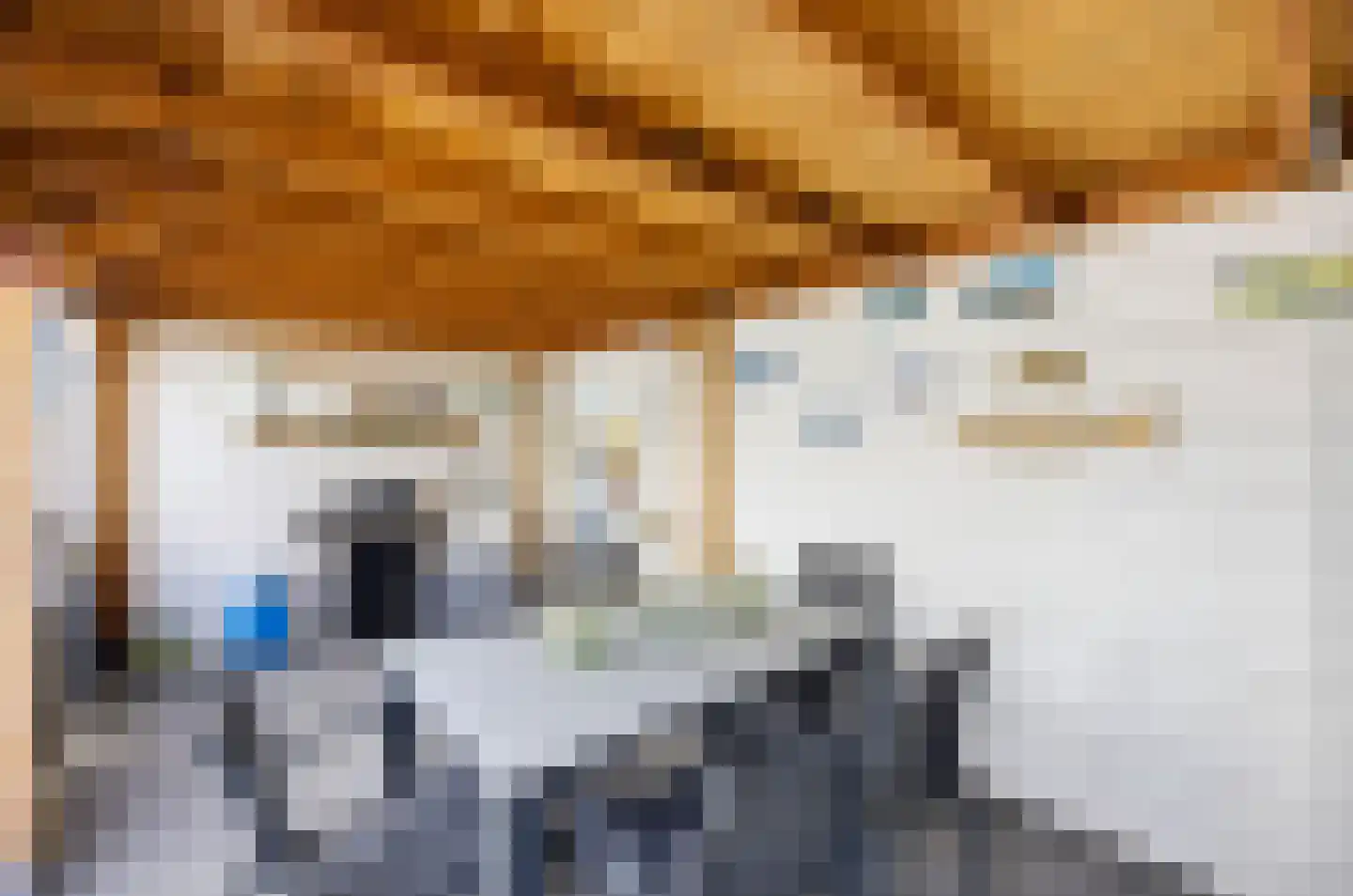 Rembrandtlaan 15 Vlissingen thumbnail 29
