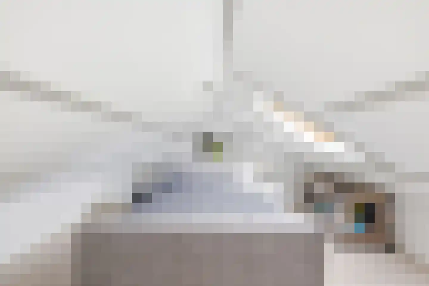 Rembrandtlaan 15 Vlissingen thumbnail 45