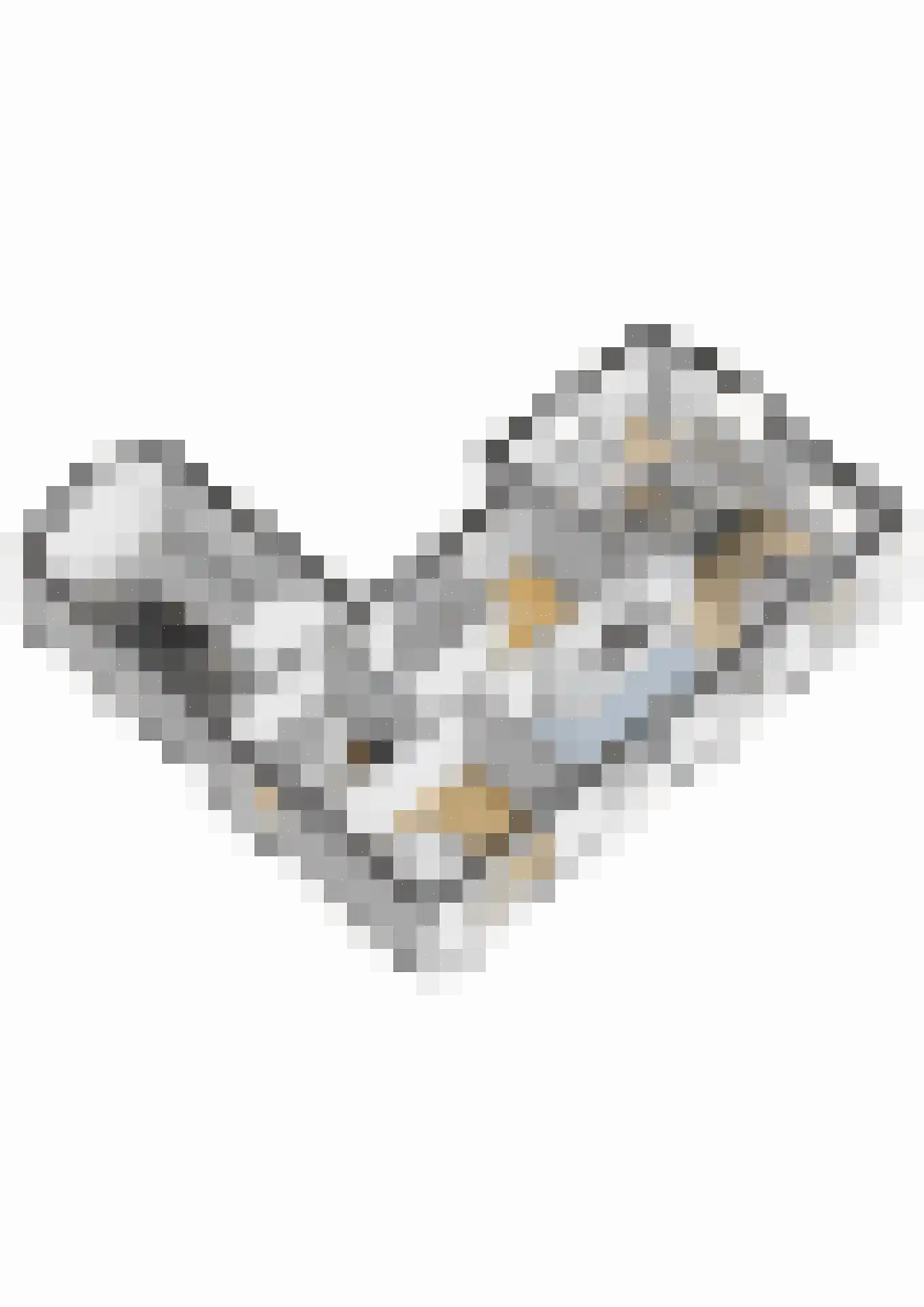Rembrandtlaan 15 Vlissingen thumbnail 49