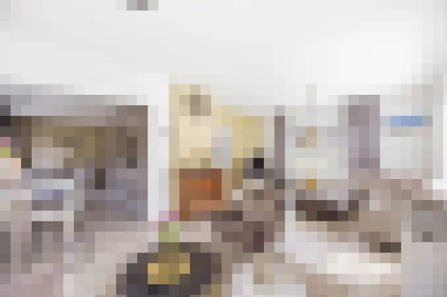 Rembrandtlaan 15 Vlissingen thumbnail 9