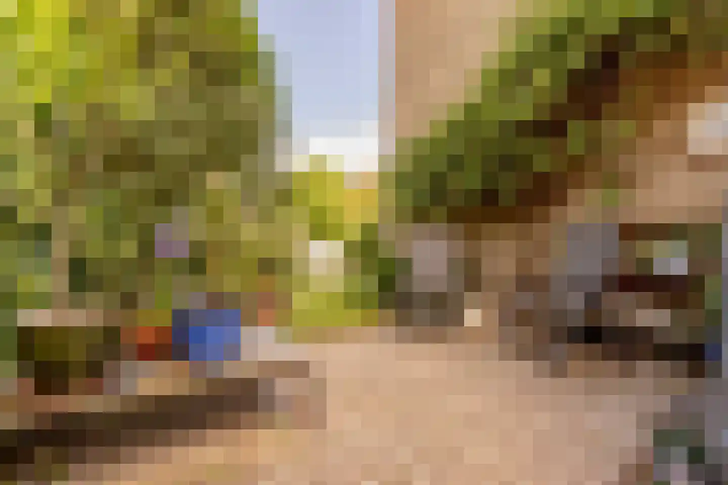 Rembrandtlaan 15 Voorschoten thumbnail 17
