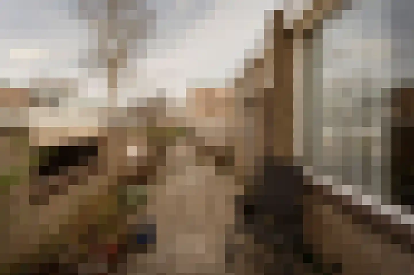 Rembrandtlaan 15 Voorschoten thumbnail 20