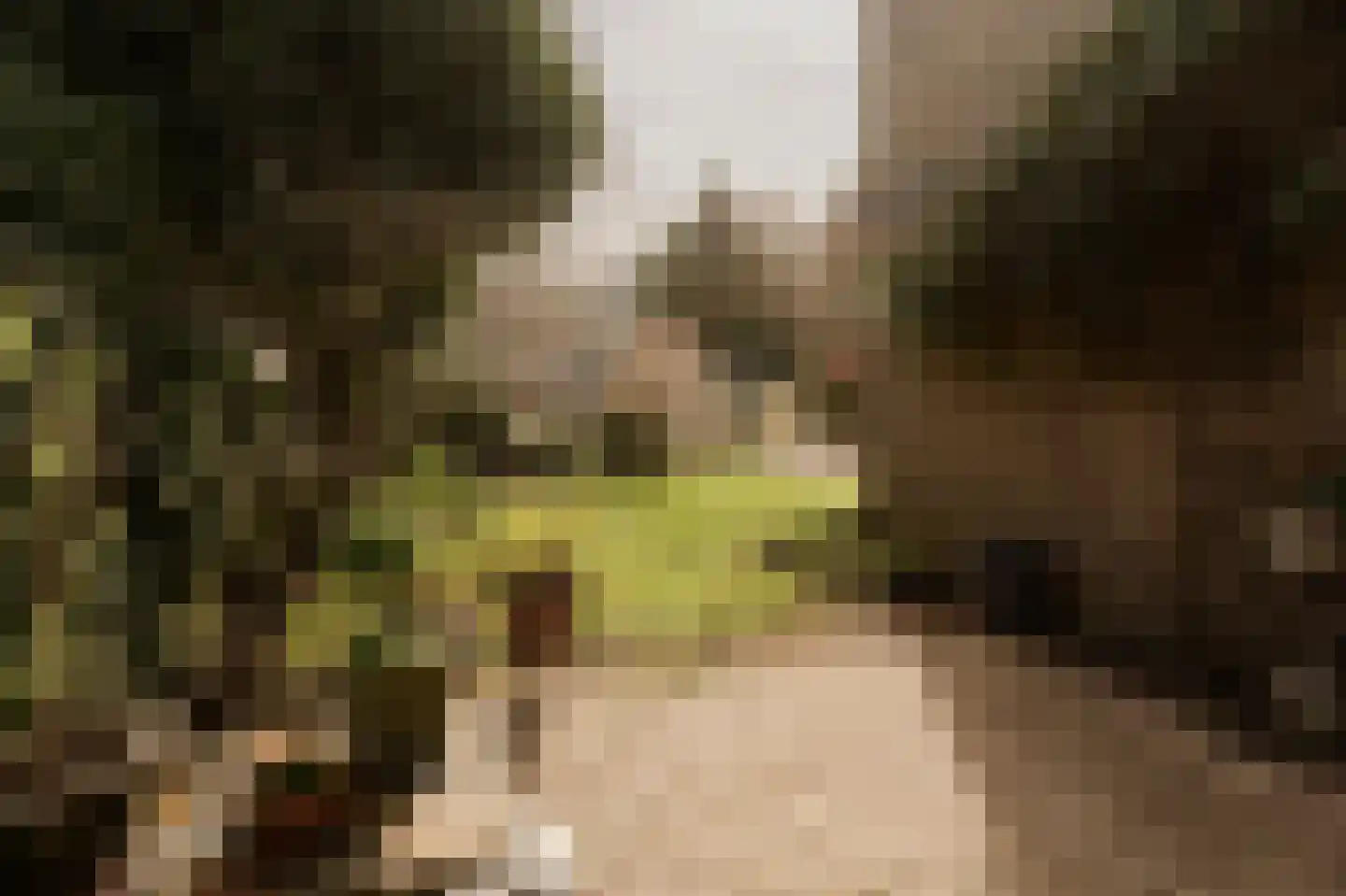 Rembrandtlaan 15 Voorschoten thumbnail 22