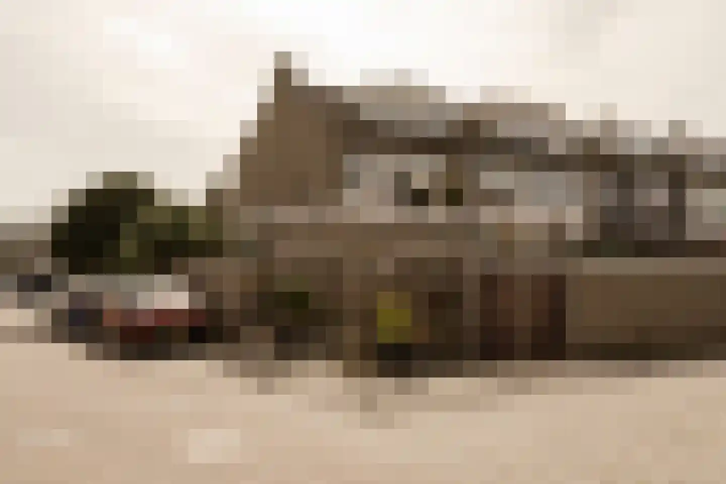 Rembrandtlaan 15 Voorschoten foto 3