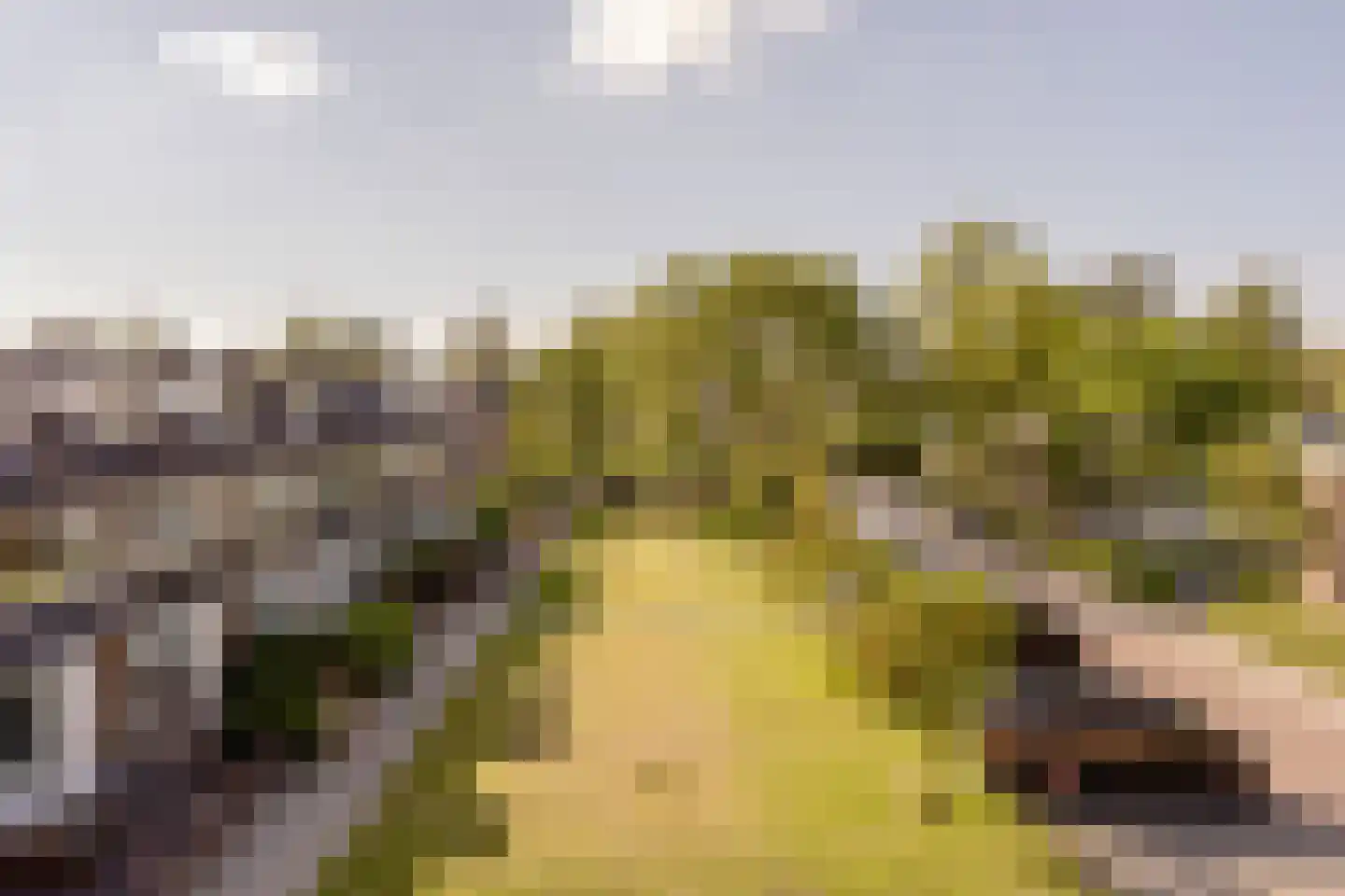Rembrandtlaan 15 Voorschoten thumbnail 35
