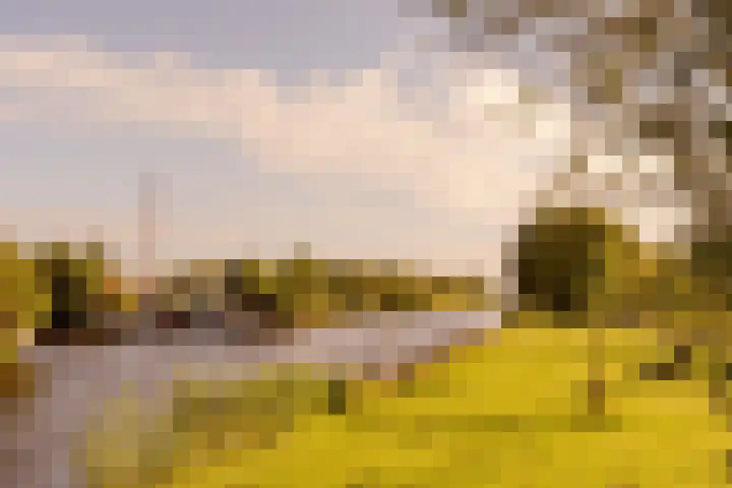 Rembrandtlaan 15 Voorschoten thumbnail 36