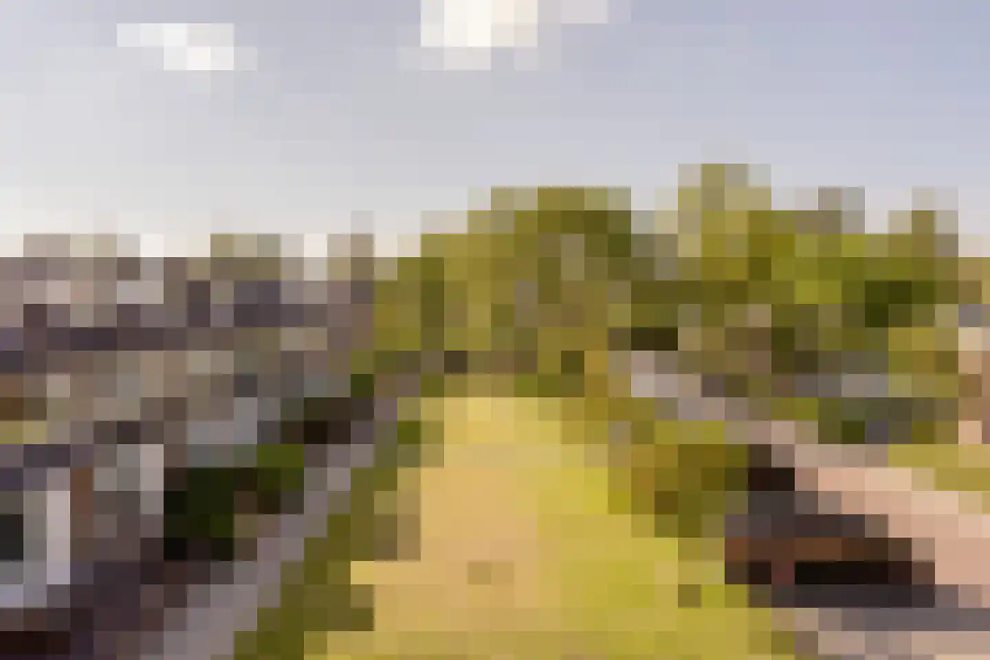 Rembrandtlaan 15 Voorschoten thumbnail 36