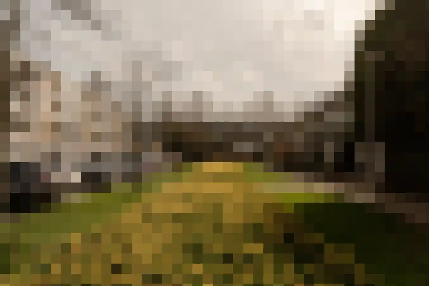 Rembrandtlaan 15 Voorschoten thumbnail 37