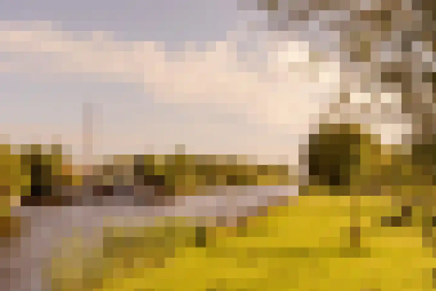 Rembrandtlaan 15 Voorschoten thumbnail 37