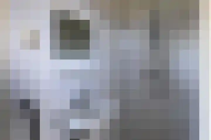 Rembrandtlaan 150 Enschede thumbnail 18