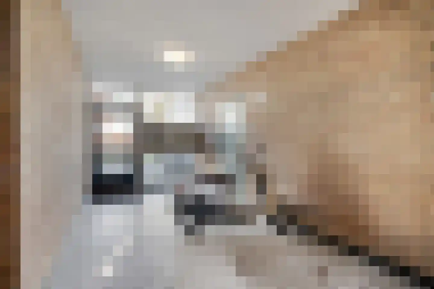 Rembrandtlaan 154 Enschede thumbnail 7