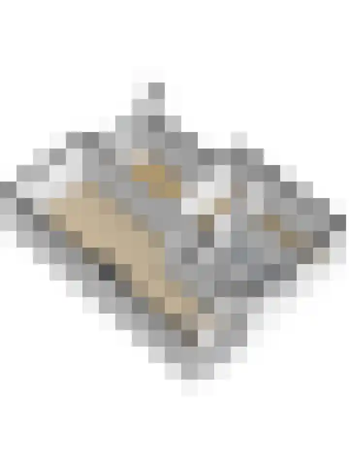 Rembrandtlaan 156 Enschede thumbnail 23