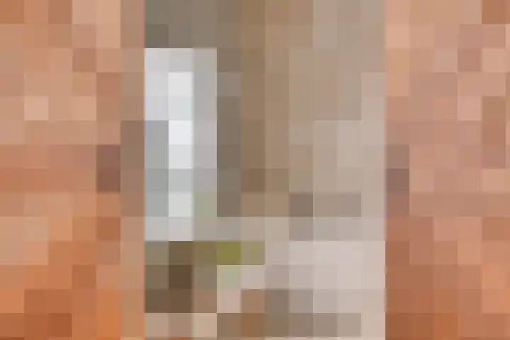 Rembrandtlaan 16 Enschede thumbnail 15