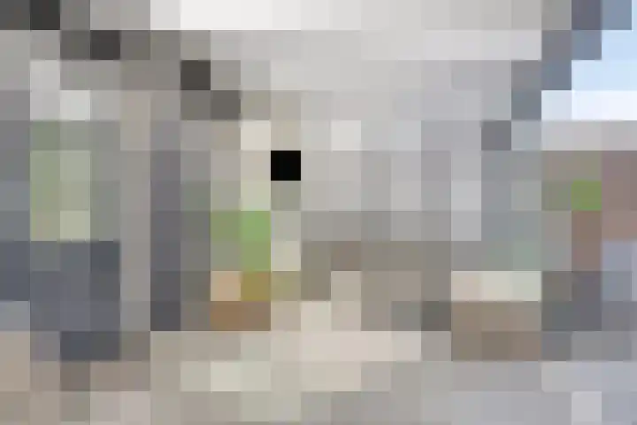 Rembrandtlaan 16 Enschede thumbnail 23