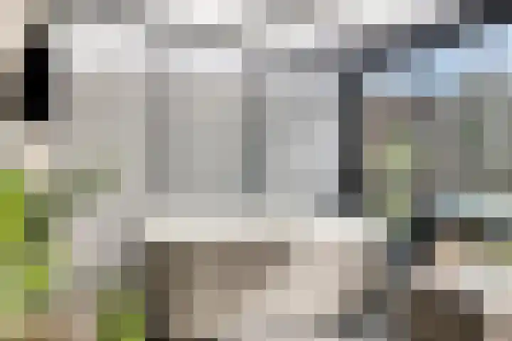Rembrandtlaan 16 Enschede thumbnail 24