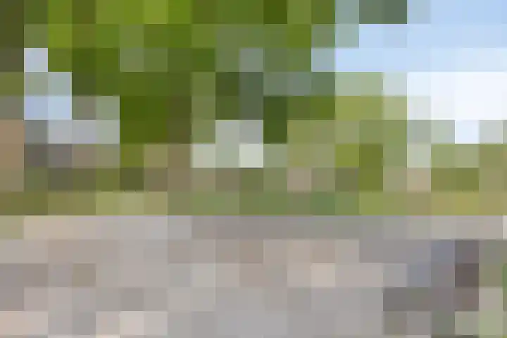 Rembrandtlaan 16 Enschede thumbnail 31