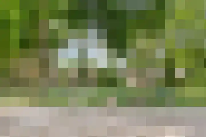 Rembrandtlaan 16 Enschede thumbnail 32