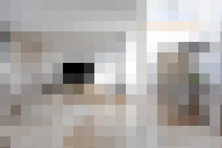 Rembrandtlaan 16 Enschede thumbnail 4