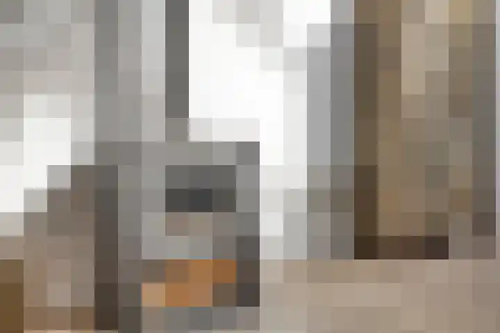 Rembrandtlaan 16 Enschede thumbnail 6