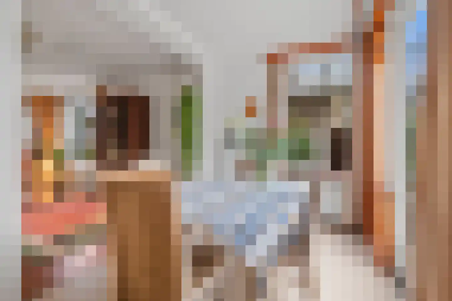 Rembrandtlaan 16 Vught thumbnail 10