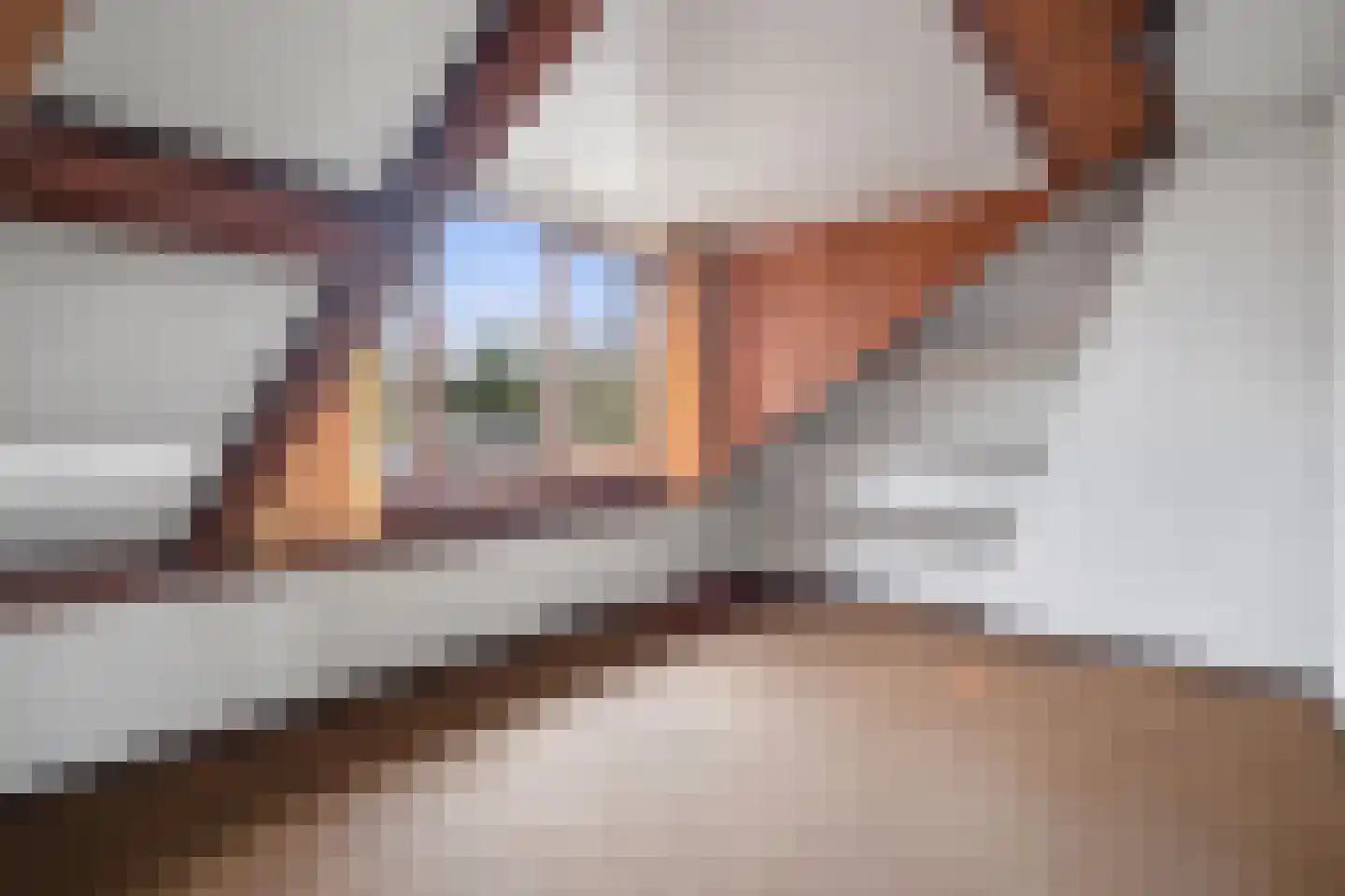 Rembrandtlaan 16 Vught thumbnail 31