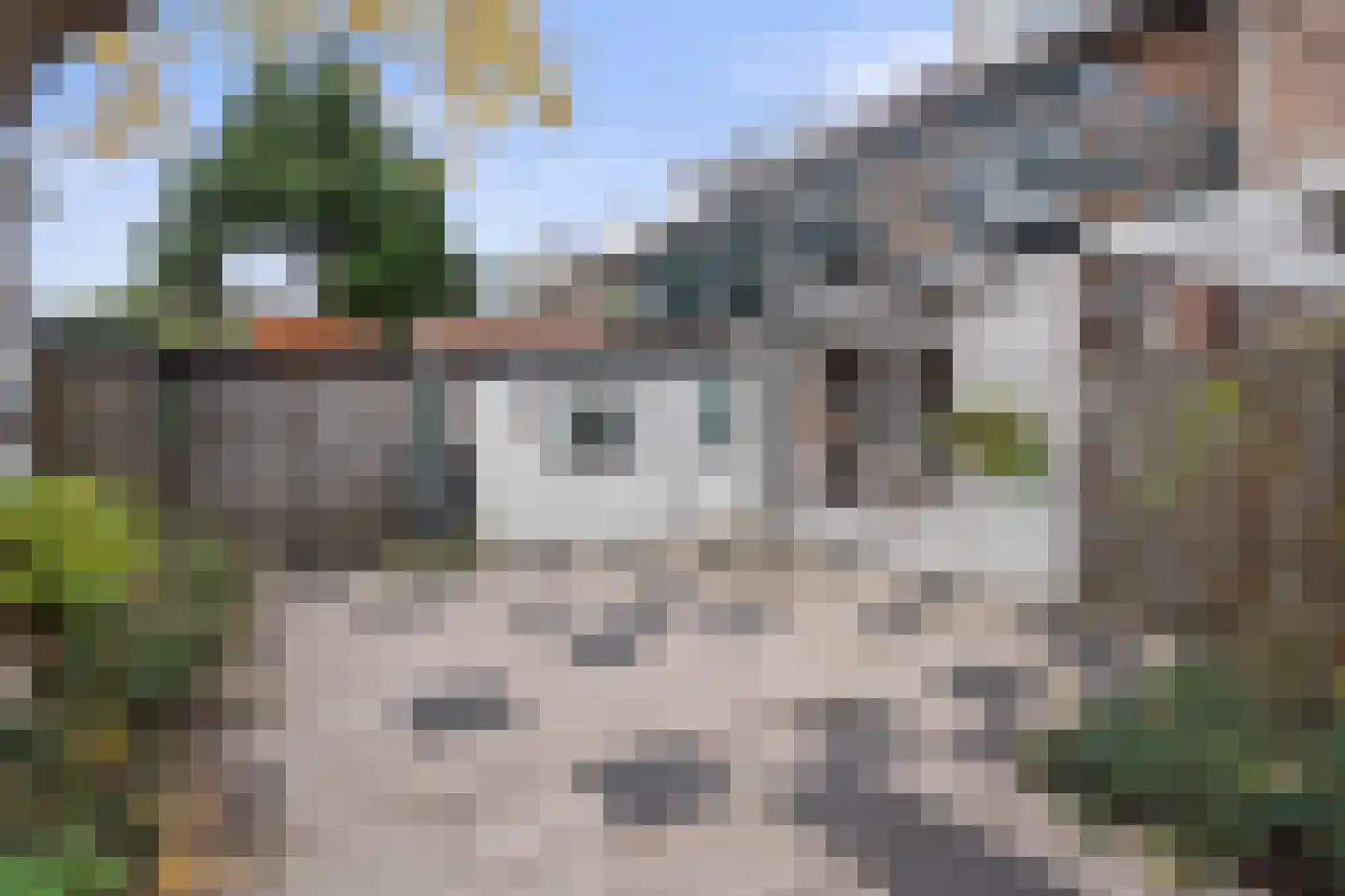 Rembrandtlaan 16 Vught thumbnail 37