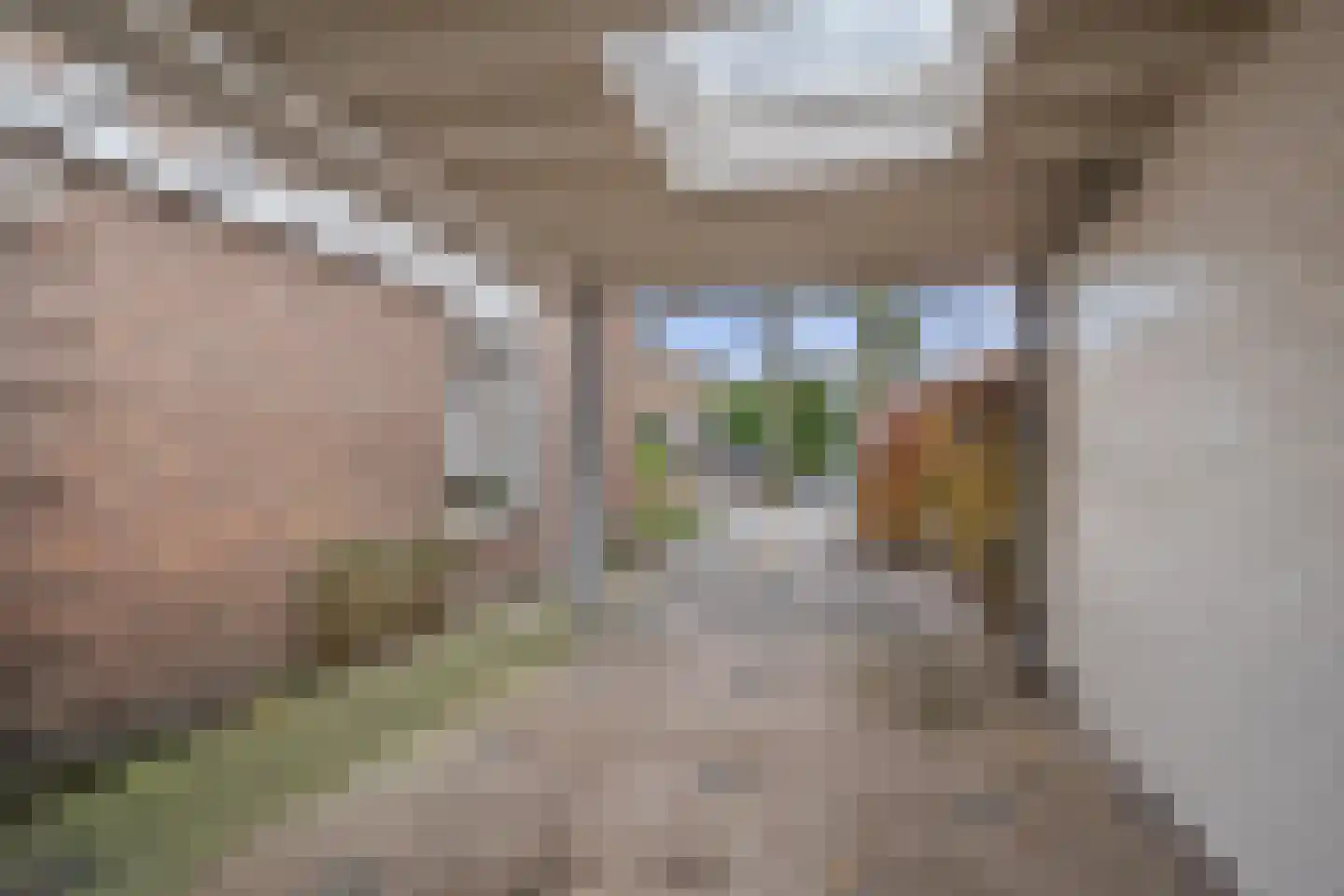 Rembrandtlaan 16 Vught thumbnail 40
