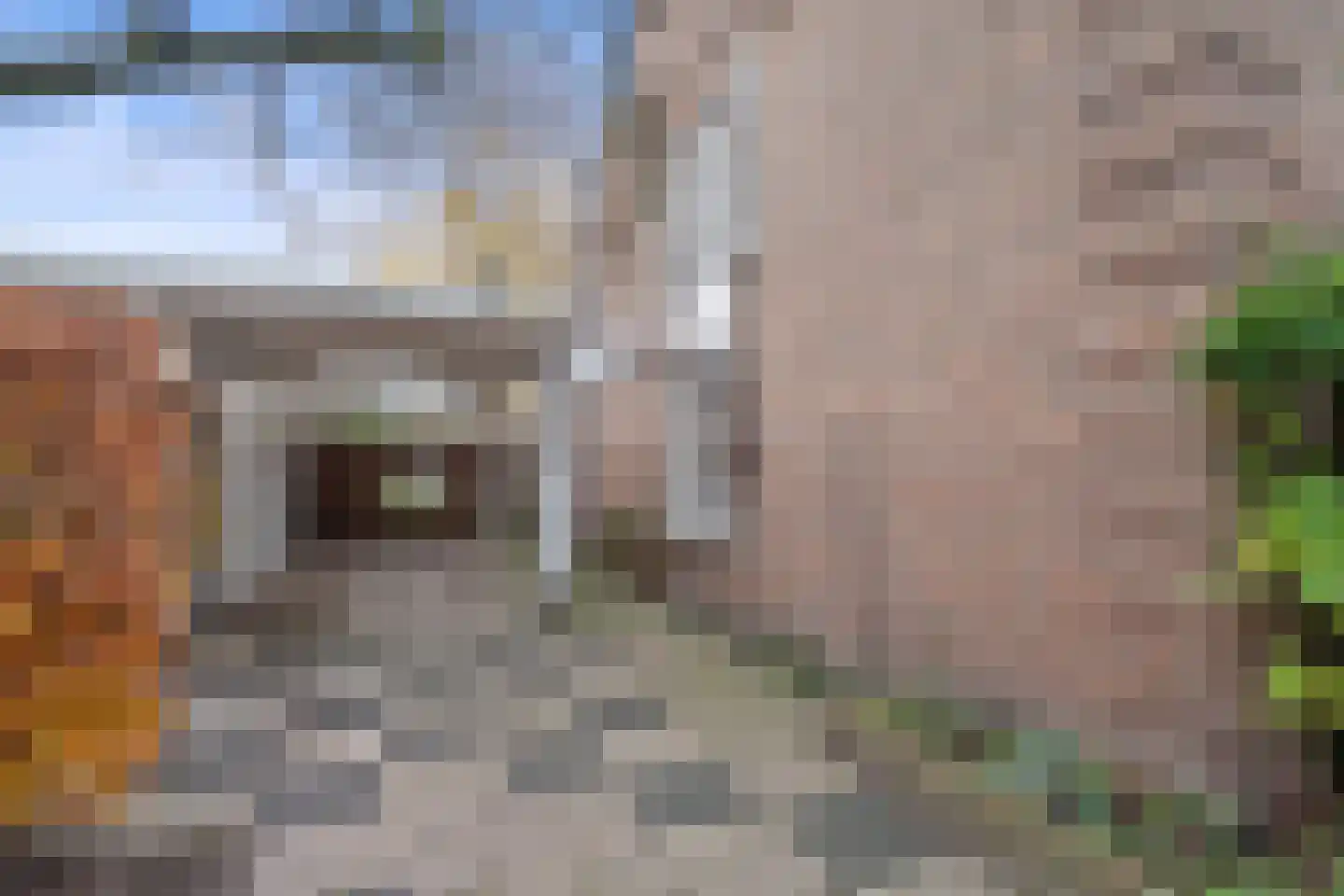 Rembrandtlaan 16 Vught thumbnail 41