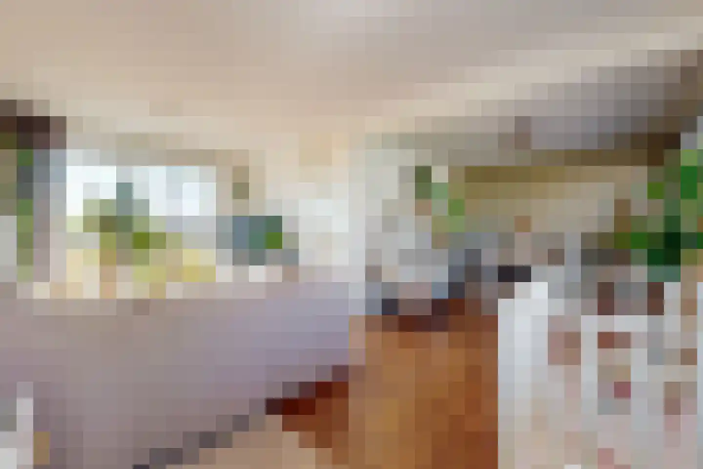 Rembrandtlaan 161 Woerden thumbnail 8