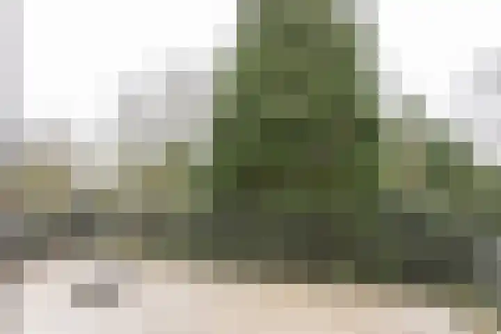 Rembrandtlaan 17 11 Bilthoven thumbnail 22