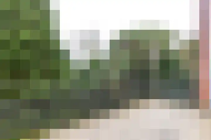 Rembrandtlaan 17 11 Bilthoven thumbnail 23